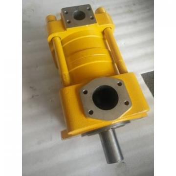 SUMITOMO CQTM43-20FV-3.7-2-T-S1307-D CQ Series Gear Pump