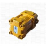 SUMITOMO SDH4SGS-ACB-06C-220-T-20L SD Series Gear Pump
